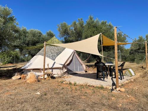 Billede fra billedgalleriet på Bellissima Bell tent i Tortosa