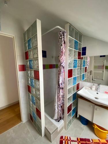 a bathroom with a shower and a sink at CHEZ HUSNA in Conflans-Sainte-Honorine