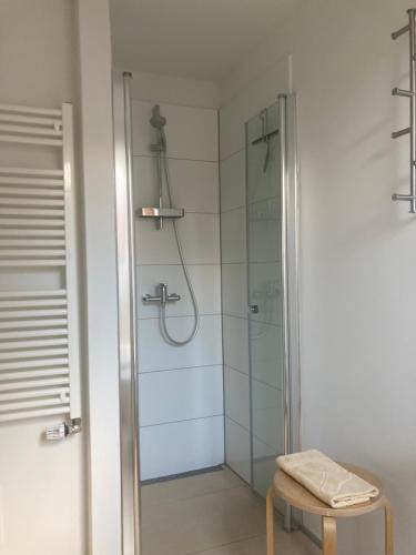 La salle de bains est pourvue d'une douche avec une porte en verre. dans l'établissement Ferienwohnung Lindenstraße, à Hasselfelde
