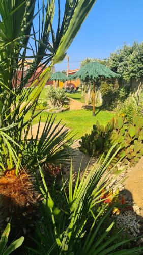 Taman di luar Hollidays Dreams