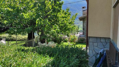 uma vista para um pátio com uma mesa e uma árvore em Casabella Silvana em Aosta