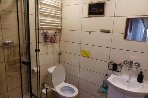 bagno con servizi igienici e lavandino di Noclegi u Ani a Opatów
