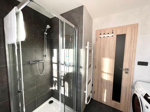 W łazience znajduje się prysznic i przeszklona kabina prysznicowa. w obiekcie Apartman Hubert w mieście Kašperské Hory