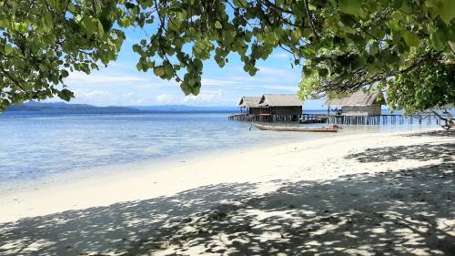 a beach with a house and a boat in the water at Frances Homestay - Raja Ampat in Pulau Mansuar