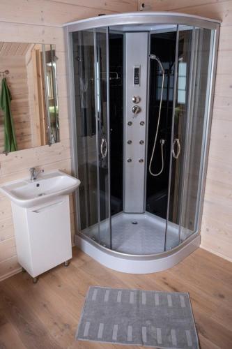 a bathroom with a shower with a sink and a mirror at Sodyba Namelis medyje Anykščiuose in Anykščiai