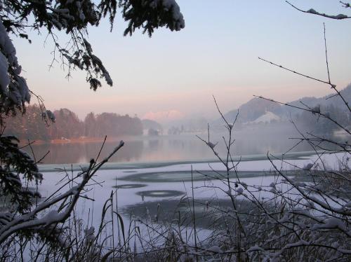 a misty lake in the winter with mountains in the background at Haus Konrad in Reith im Alpbachtal