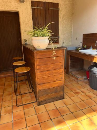 une cuisine avec une plante en pot au-dessus d'une commode dans l'établissement casa SamaSama, à Porto-Vecchio