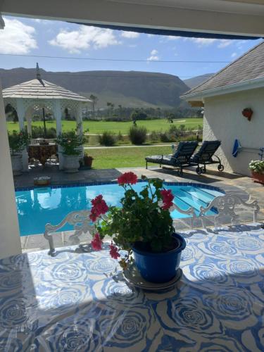 a table with flowers on it next to a swimming pool at Mulligans Guest Lodge in Hermanus