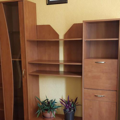uma estante de livros de madeira com dois vasos de plantas em 2 room apartment 350 m from sea em Liepāja