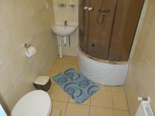 a bathroom with a shower and a toilet and a sink at Motel Sapnis in Jēkabpils