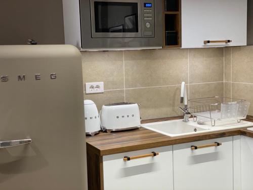 a kitchen with a sink and a microwave at Shi Zi Junior Suite in Iaşi