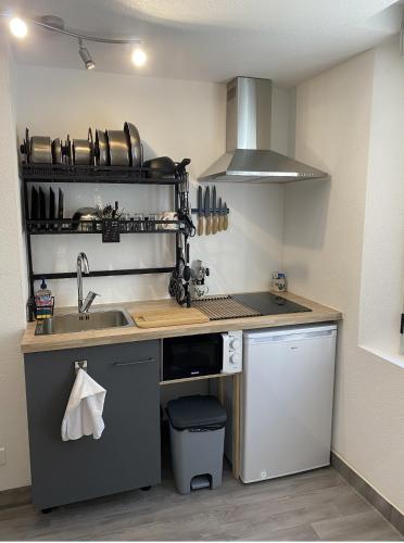 een kleine keuken met een wastafel en een fornuis bij StudioA hyper-centre climatisé in Albi