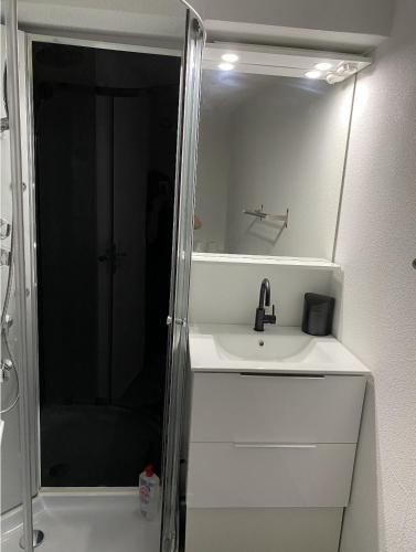 een badkamer met een douche, een wastafel en een spiegel bij StudioA hyper-centre climatisé in Albi