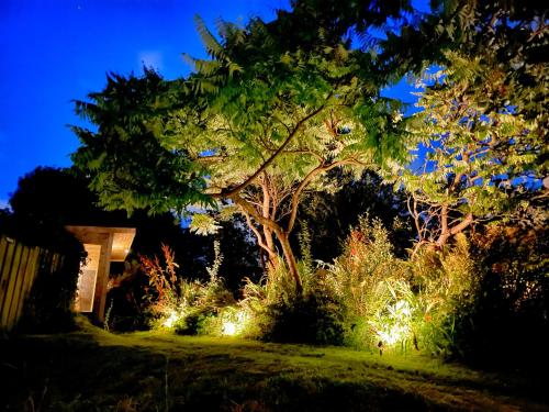 Κήπος έξω από το The Tree House Cumbria, unique, romantic, quirky cottage