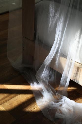 Φωτογραφία από το άλμπουμ του El Patio 77 B&B στην Πόλη του Μεξικού
