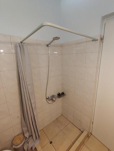 a shower with a shower curtain in a bathroom at Anatolika Stamatis Paradise in Dhémbla