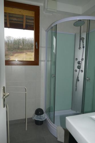 La salle de bains est pourvue d'une douche en verre et d'un lavabo. dans l'établissement la ferme du parroi, à Annecy