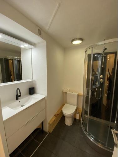 a bathroom with a toilet and a sink and a shower at StudioC hyper-centre climatisé in Albi