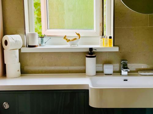 a bathroom counter with a window and a sink at Tanglewood house Abergavenny with private parking in Abergavenny