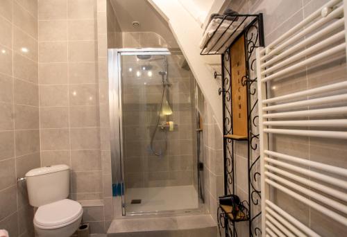 a bathroom with a shower and a toilet in it at Maison Croix du sud. Chambre Fruits de la Passion in Saint-Amand-de-Vergt