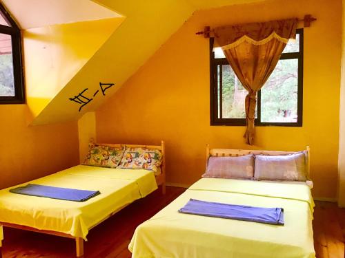 2 camas en una habitación con paredes y ventanas amarillas en Kiber transient and holiday home, en Baguio