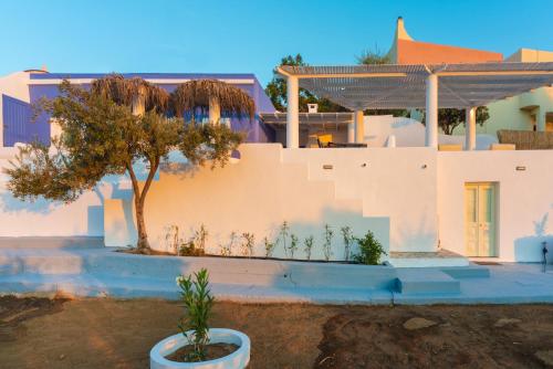 a house with a tree in front of it at Hidden Oasis Private Villa in Agia Marina