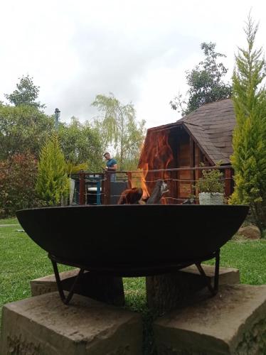 a dog sitting in a black boat in a park at Glamping Cantabria in Tunja