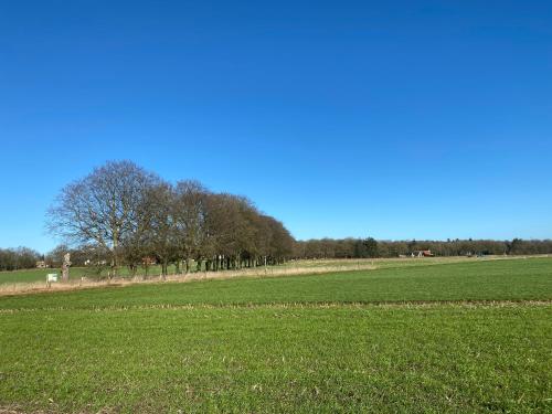 a large green field with trees in the background at B&B de Hinne in Holten