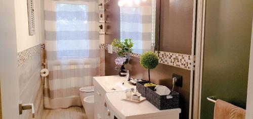 La salle de bains est pourvue d'un lavabo et de toilettes. dans l'établissement SoleGardaRelax - Peschiera del Garda, à Peschiera del Garda
