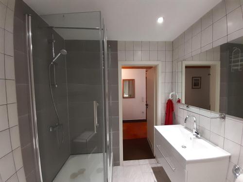 a bathroom with a shower and a sink at Ferienwohnung-Stricker-3-1 in Walkenried