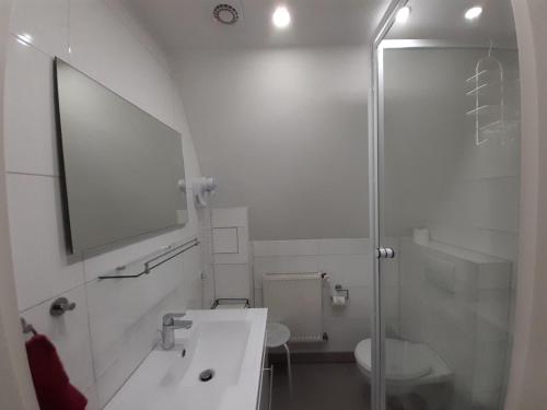 Un baño con ducha, lavabo e inodoro. en Ferienwohnung-Stricker-B-Balkon-1-2, en Walkenried