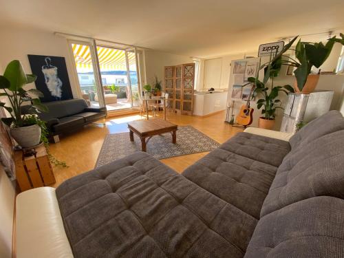 Gebenstorf的住宿－Limmatspitz，客厅配有沙发和桌子