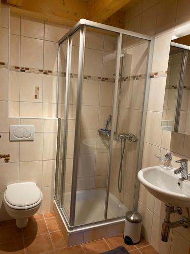 La salle de bains est pourvue d'une douche, de toilettes et d'un lavabo. dans l'établissement Chalet familial, à Chamoson