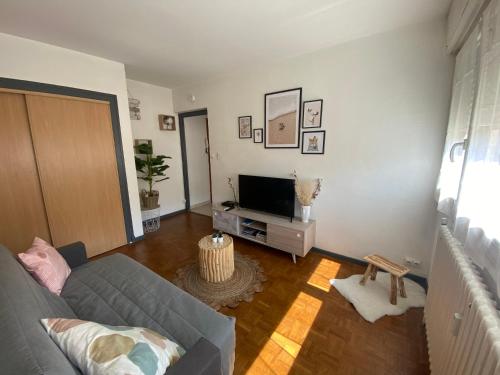 een woonkamer met een bank en een televisie bij Studio Aix les Bains entre centre-ville et lac in Aix-les-Bains