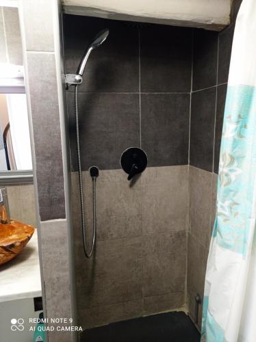 une douche avec pommeau de douche dans une salle de bain dans l'établissement Le Terrier du Lapin Blanc, à Saint-Brieuc