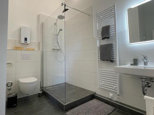 a bathroom with a shower and a toilet and a sink at Illas Koje - Fehmarn in Westerbergen