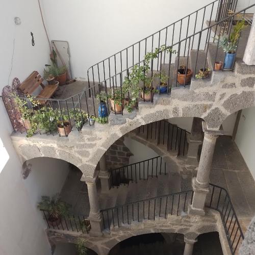 un escalier avec des plantes en pot dans l'établissement 3 bedroom modern apartment in historic building overlooking river herault, à Agde