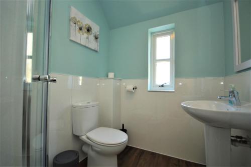 a bathroom with a toilet and a sink at Buzzard Apartment in Tobermory