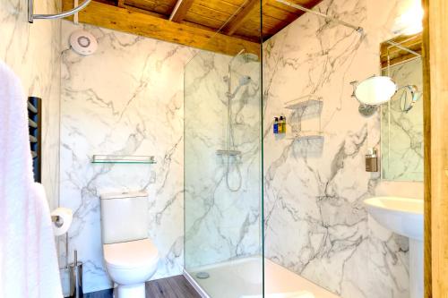 a bathroom with a shower and a toilet and a sink at Sanctum On The Green Hotel in Cookham Dean
