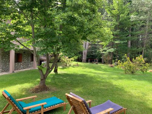 une cour avec deux chaises et une table et un arbre dans l'établissement CABAÑAS AILIN-CO, à El Bolsón