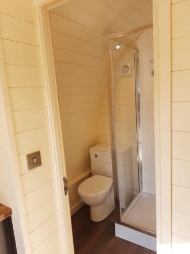 a small bathroom with a toilet and a shower at South Lodge House in Dormans Land