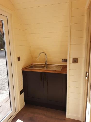 a kitchen with a sink in a tiny house at South Lodge House in Dormans Land