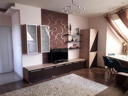 TV a/nebo společenská místnost v ubytování Belvárosi Apartman Lux