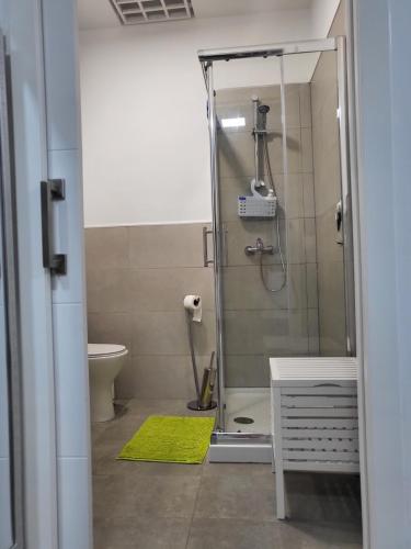 a bathroom with a shower and a green rug at Marga STUDIO H10 in Arona
