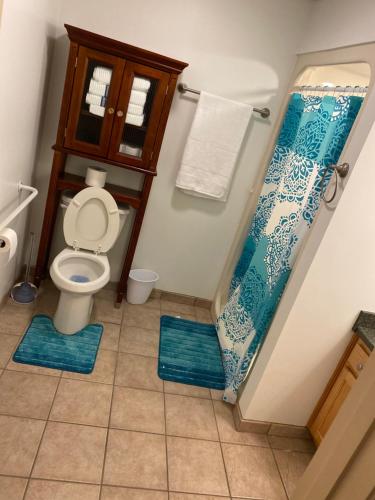 a bathroom with a toilet and a blue shower curtain at Pershing Heights 201 in New Kensington