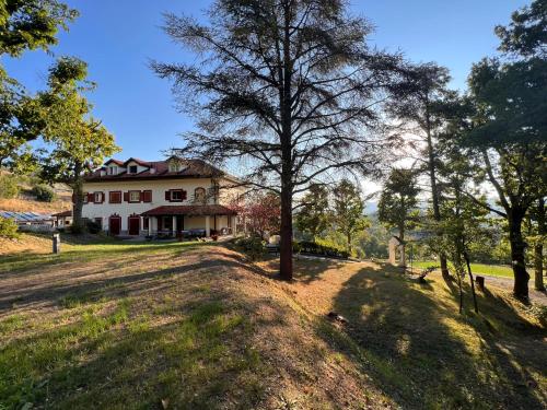 a house on a hill with a tree in the foreground at Large villa for 20 guests on large estate with private pool and tennis court Big conference room with facilities VILLAITALY EU in Cairo Montenotte