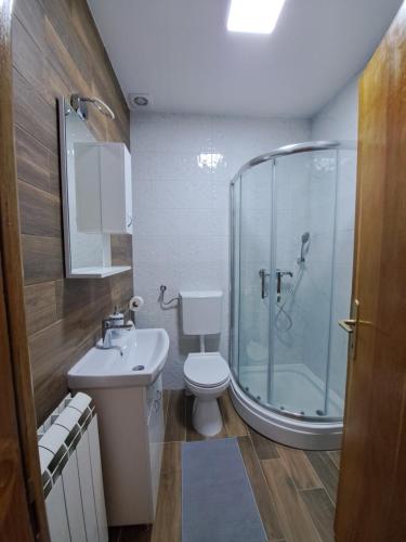 a bathroom with a shower and a toilet and a sink at Apartman Filip Novi Sad in Novi Sad