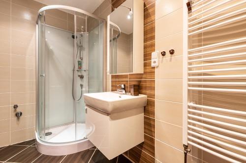 a bathroom with a sink and a shower at Apartmány Nad Šlikovkou in Jáchymov