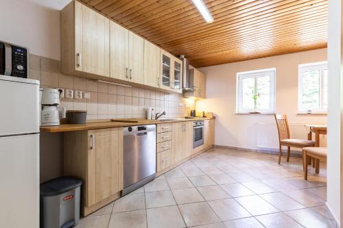 a kitchen with wooden cabinets and stainless steel appliances at Apartmány nad Šlikovkou in Jáchymov
