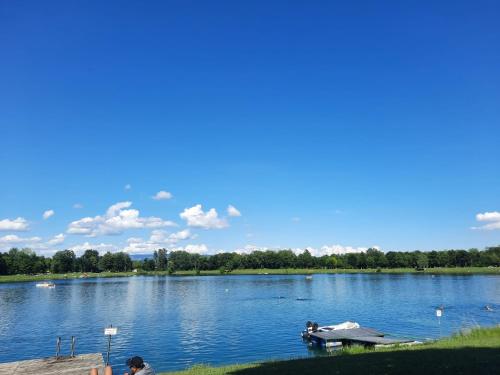 a lake with a dock and a boat on it at Wohnhaus City Süd in Herzogsdorf